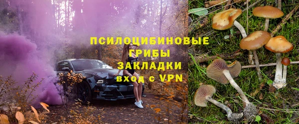 амф Белокуриха