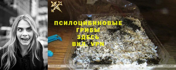 твердый Белоозёрский